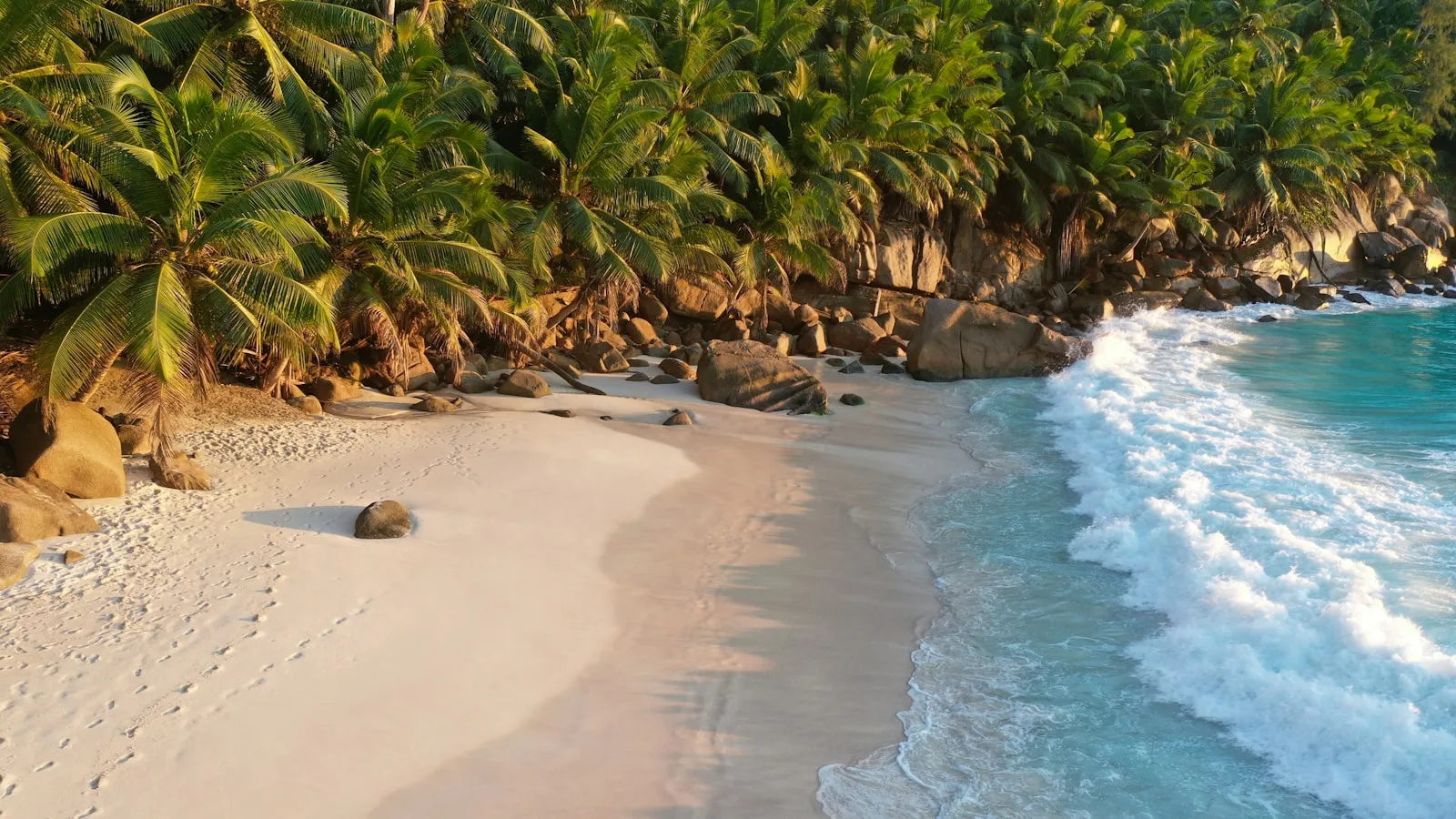 ️ Denis Island : le luxe au bout du monde