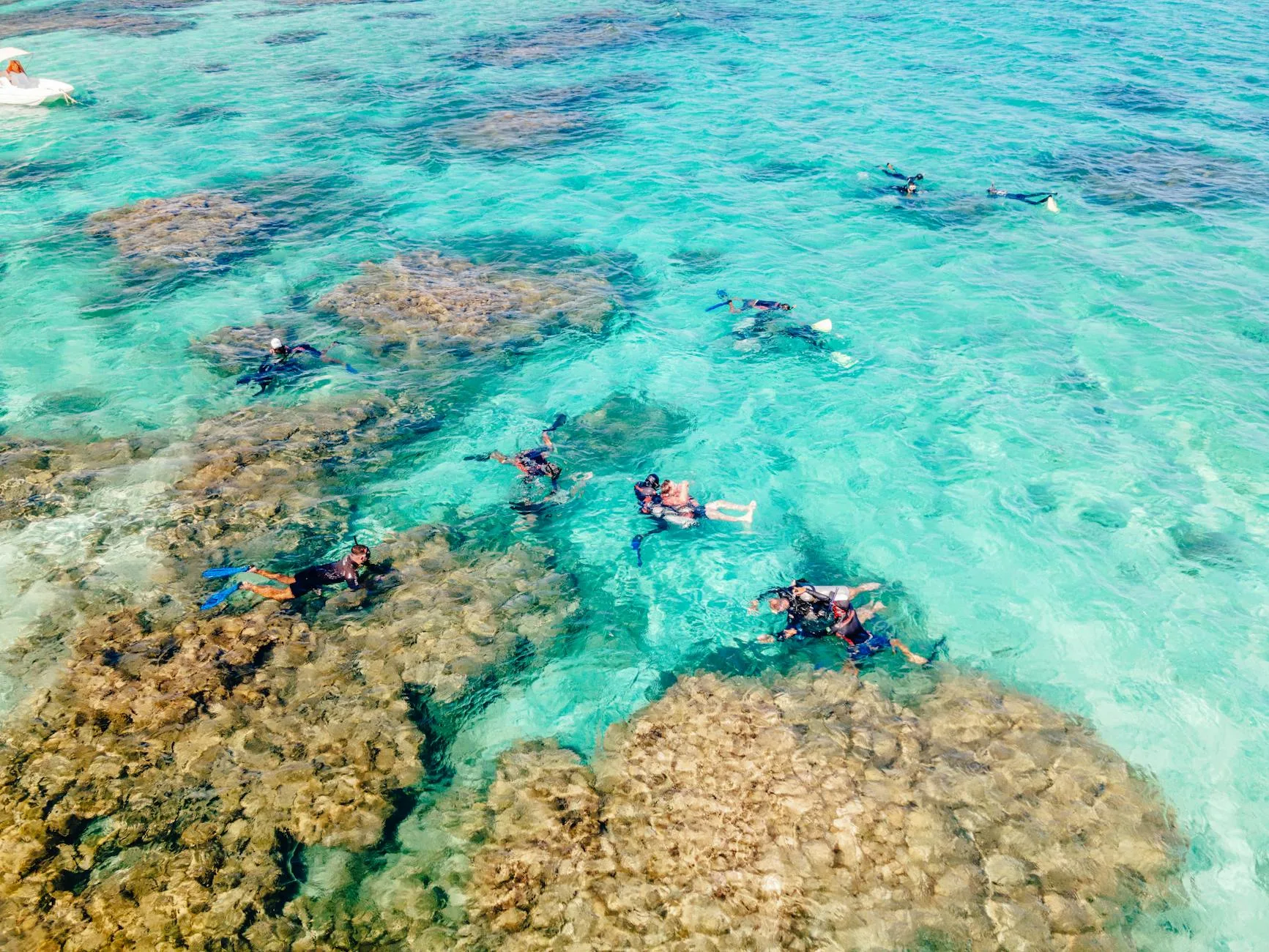 Excursions de snorkeling organisées