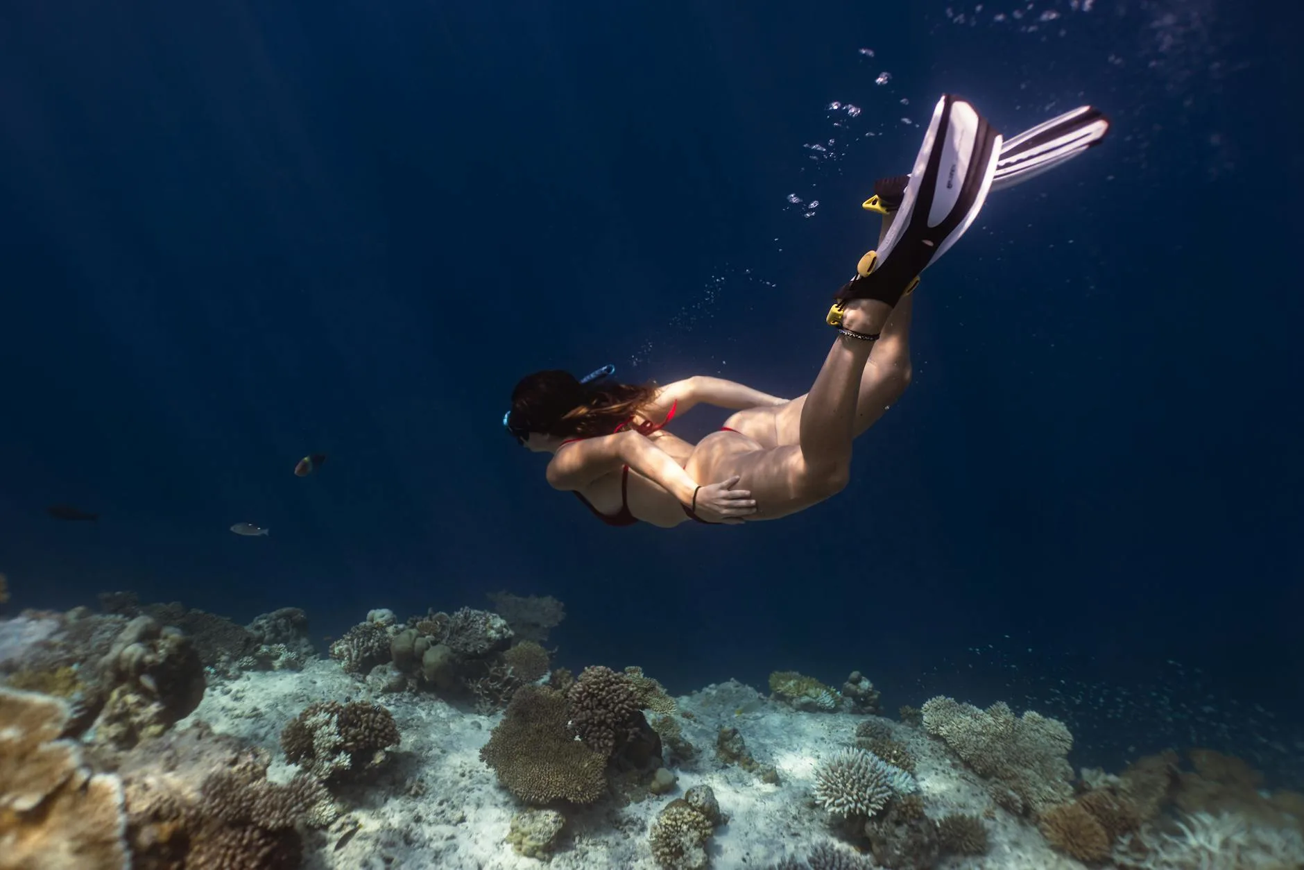 ️ Les meilleurs spots de snorkeling par île