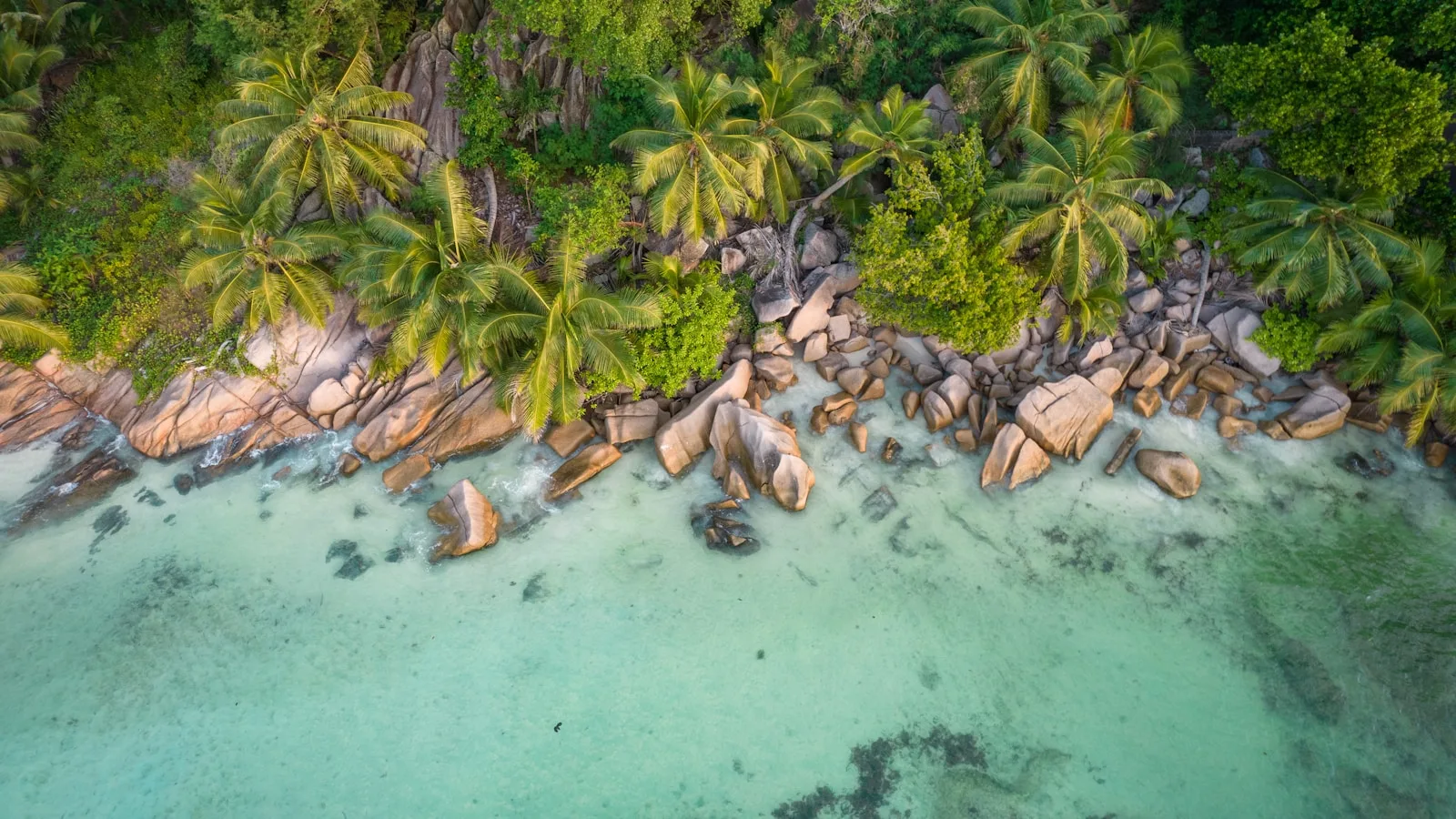L'île Curieuse en bref