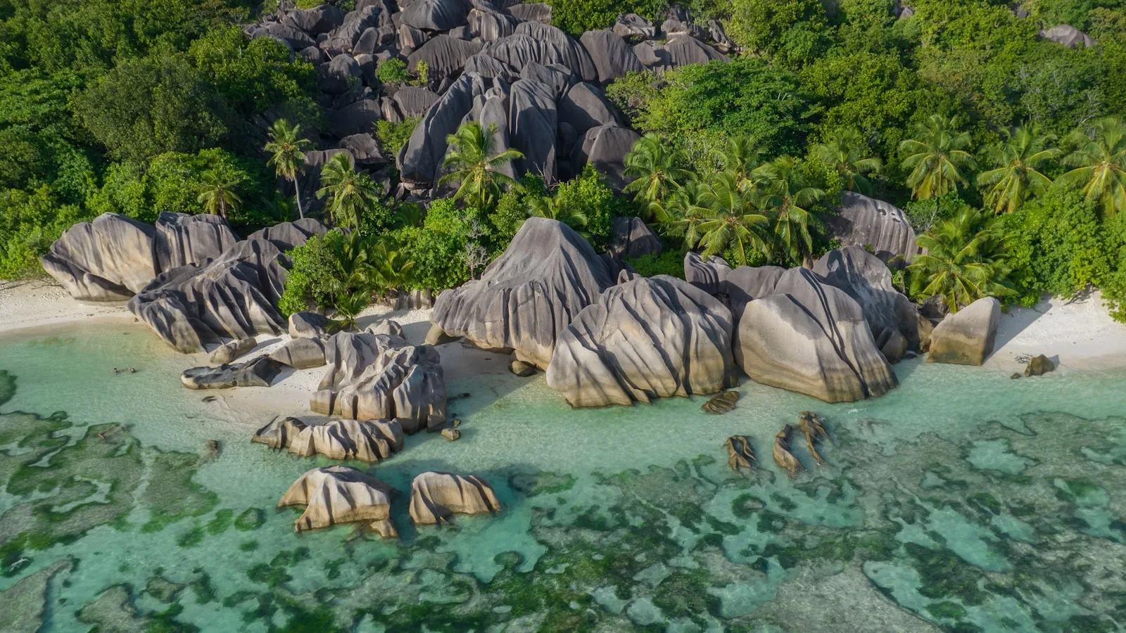 Forêt tropicale dense de l'île Silhouette aux Seychelles