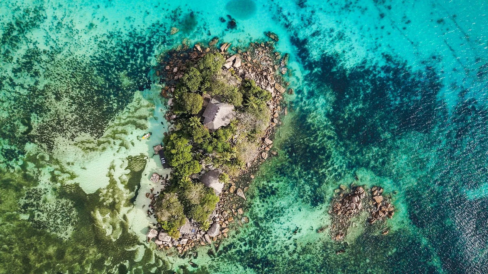Récif corallien préservé et poissons tropicaux colorés autour de l'île Silhouette